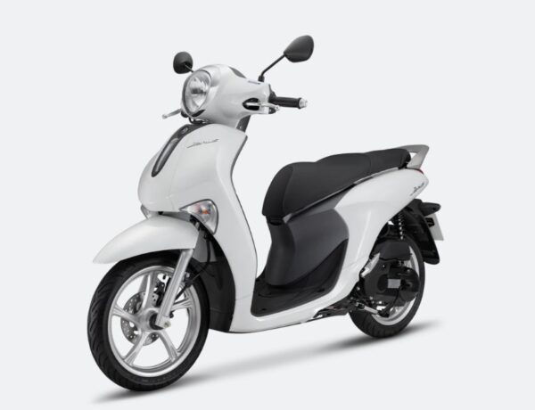 Janus phiên bản tiêu chuẩn & màu mới